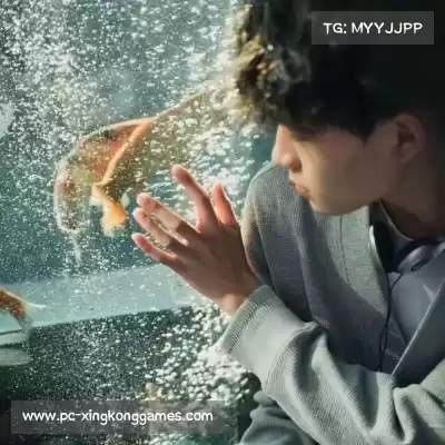 经新海